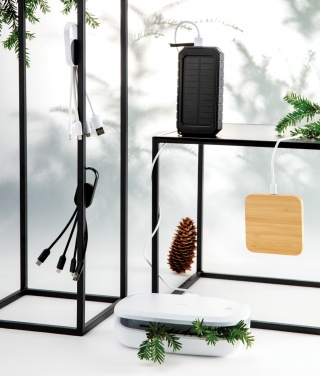 Logo trade ärikingid foto: 4-ühes laadimiskaabel karabiiniga